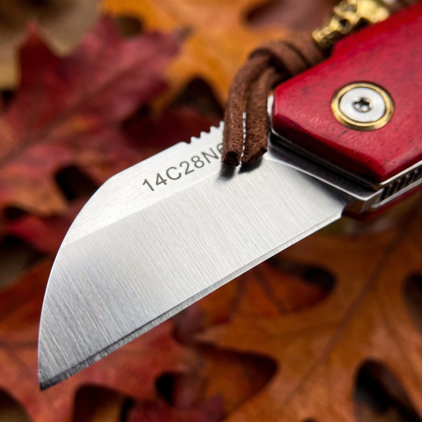 Mini Folding Pocket Knife Red Dyed Bone Handle 7Cr13Mov Steel Wharncliffe Blade