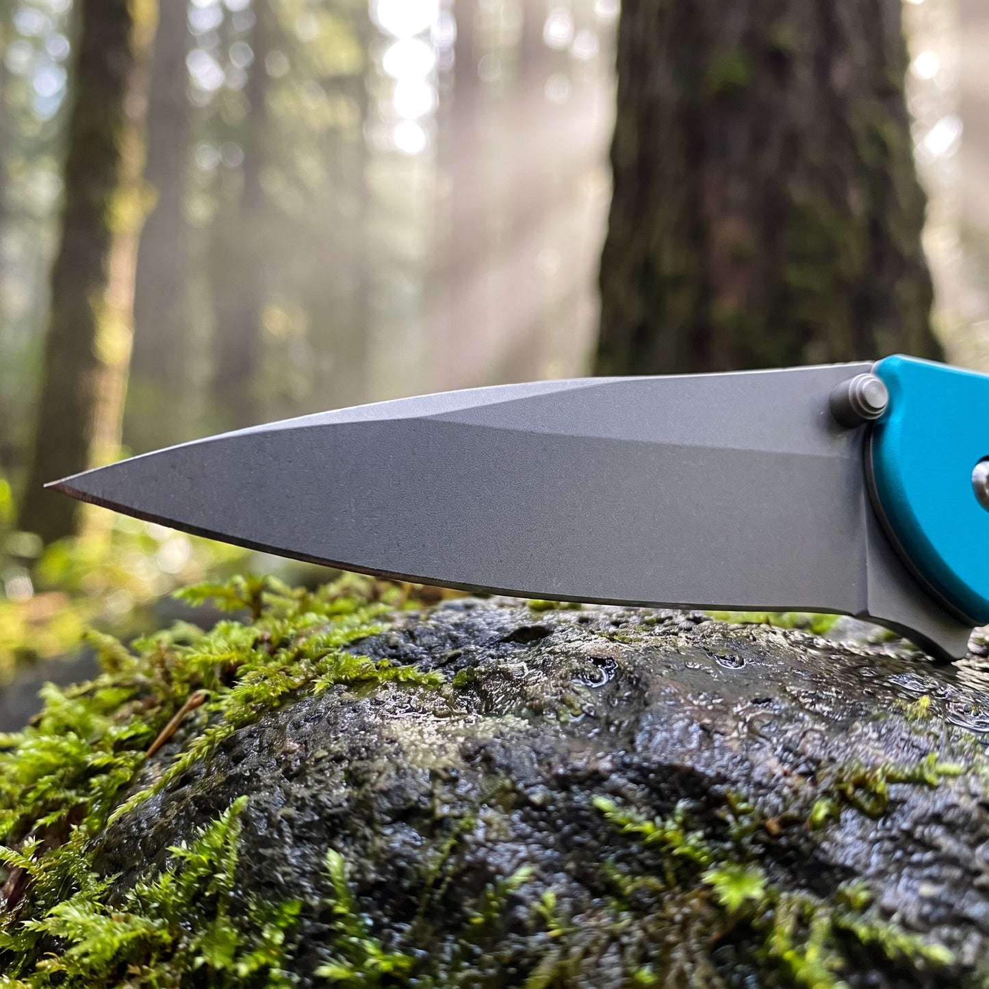 1660 Folding Pocket Knife 2.87" 8Cr13MoV Blade Flipper Opening Liner Lock Everyday Carry Utility Knife