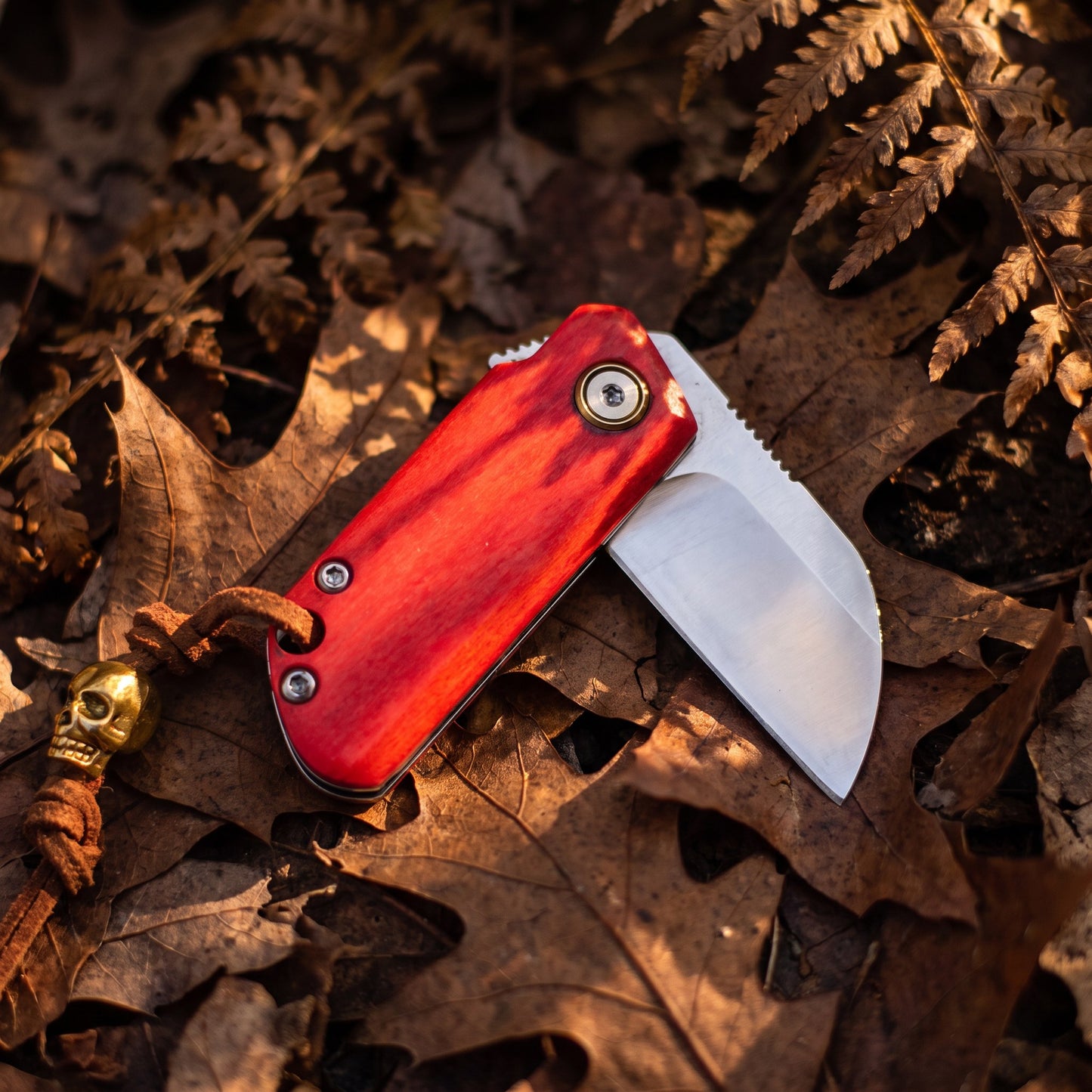 Mini Folding Pocket Knife Red Dyed Bone Handle 7Cr13Mov Steel Wharncliffe Blade