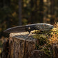 VG10 Damascus Steel Folding Pocket Knife, Stabilized Wood Handle Flipper EDC Knife with Liner Lock